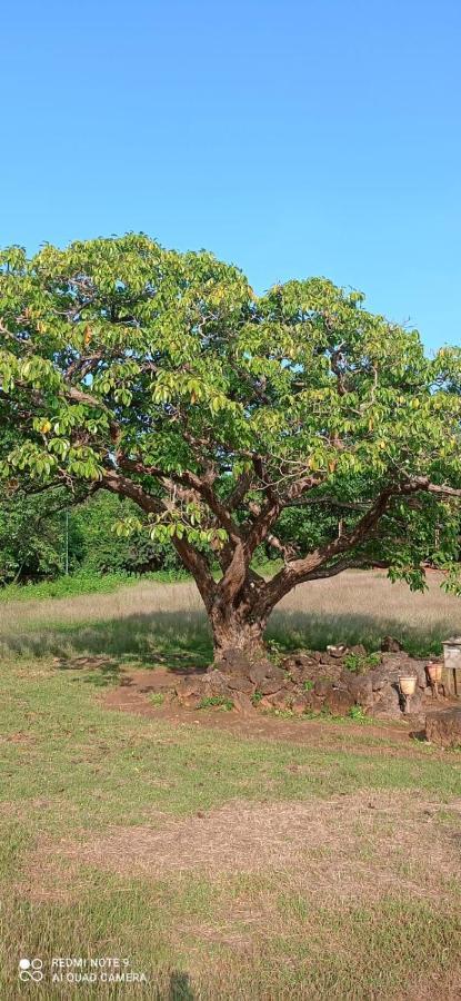 Narayanalayam-Vintage Retreat-Homestay & Rest'Inn Kannur Ngoại thất bức ảnh